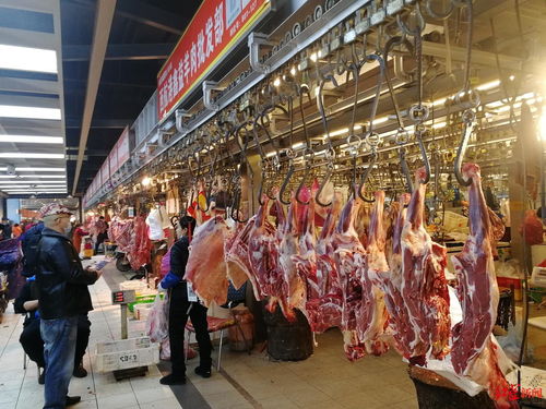 年关探访 成都“菜篮子”货源充足价格稳 就地过年有保障