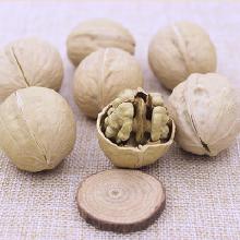 新疆特色农产品 从田间到餐桌的产业链与市场指南