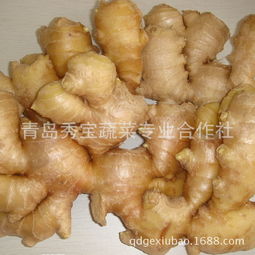 青岛绿色无污染新鲜蔬菜黄姜厂家批发，量大从优，品质保证