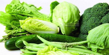 广州一站式食材配送服务 新鲜蔬菜、水果、肉禽、粮油批发与配送全解析